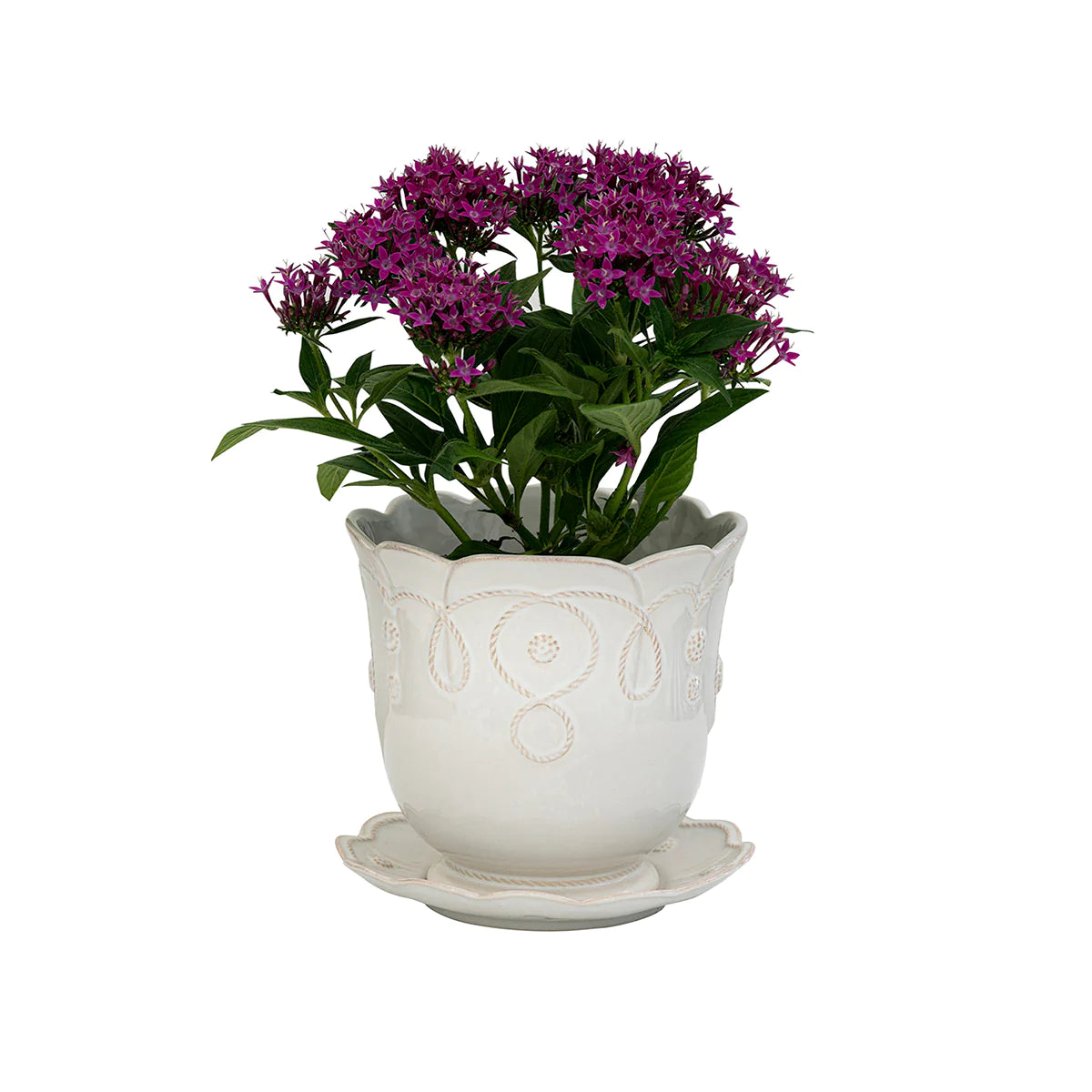 Jardin Du Monde Whitewash 7.5" Planter